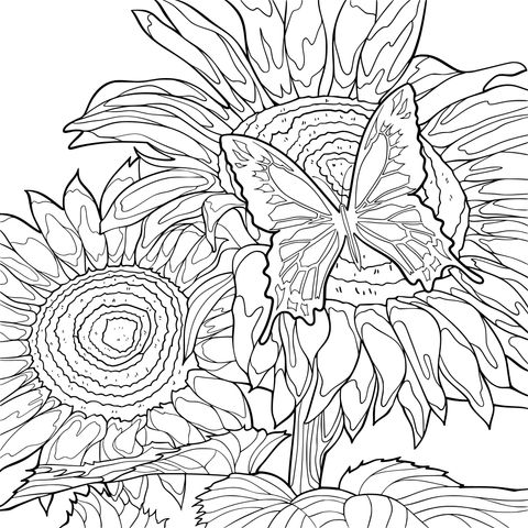 Página para colorear de girasoles y mariposa