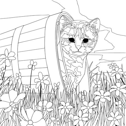 Dibujo para colorear de un adorador gatito en un barril