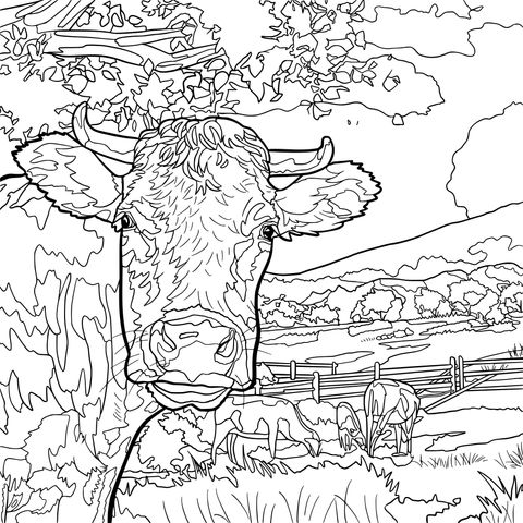 Pastoral Cow Landscape Coloring Page