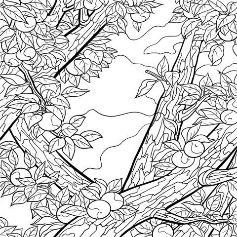 Apple Tree Coloring Page Illustration