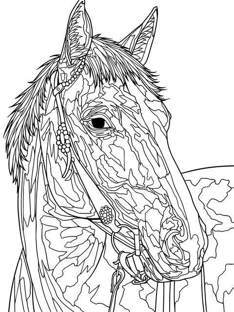 Exquisite Horse Coloring Page: A Steed with Decorative Reins