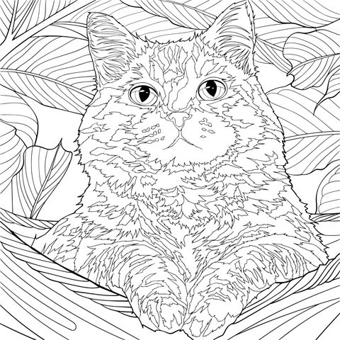 可愛い猫の塗り絵ページ：塗り絵の楽しみを味わおう