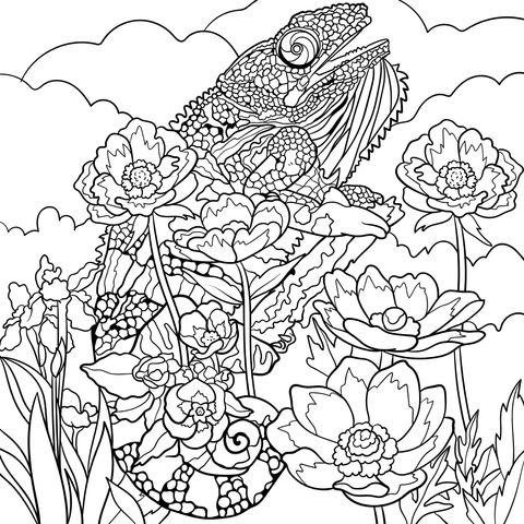 Chameleon in the Flower Bed