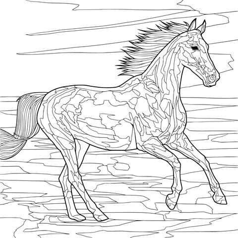 Running Horse Coloring Page