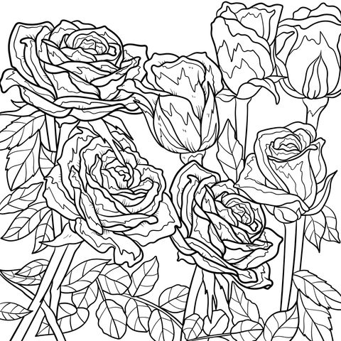 Beautiful Red Roses Coloring Page