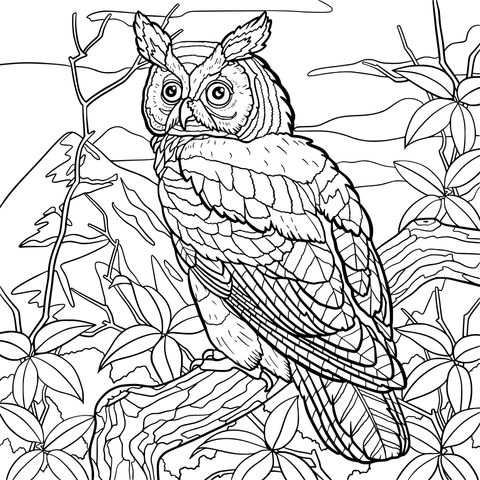 フクロウの塗り絵ページ：山の森の枝に止まったフクロウのイラスト