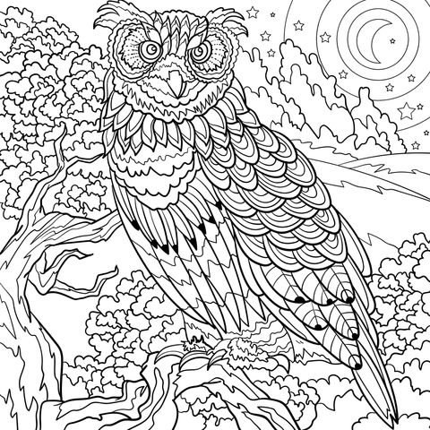 Owl - themed Coloring Page