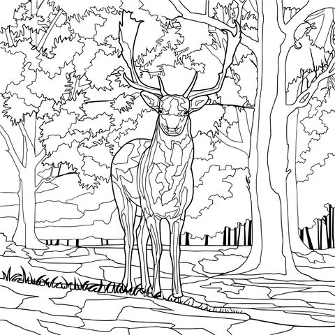 Fantasy White Deer in the Forest Coloring Page