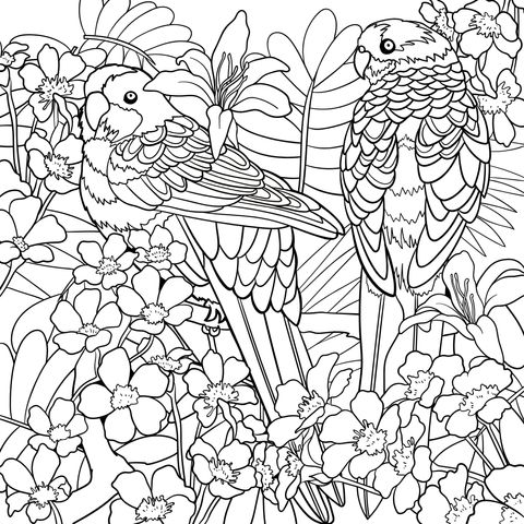 Gorgeous Parrots and Blooming Flowers Coloring Page