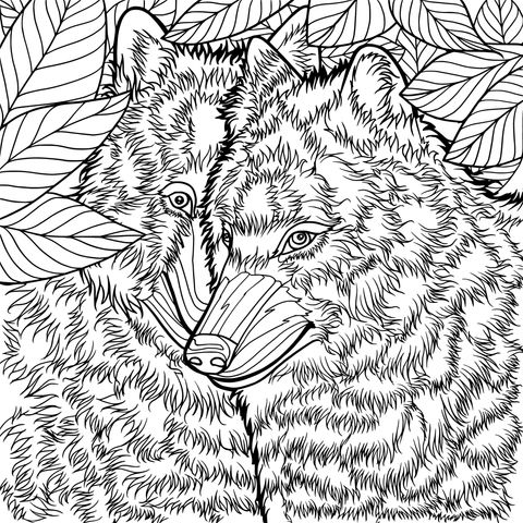 Two - Wolves in the Jungle Coloring Page