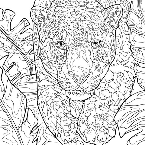 Jaguar - Themed Coloring Page