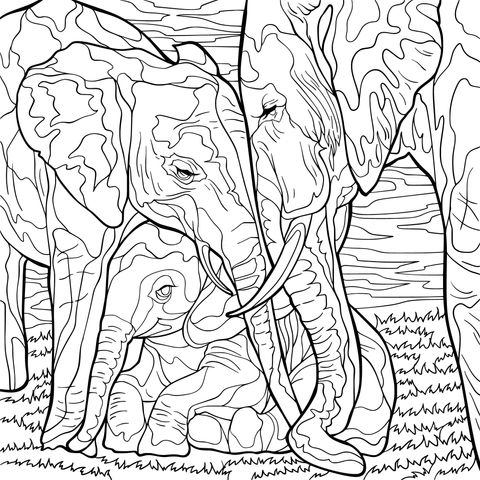 Heart - warming Elephant Family Coloring Page