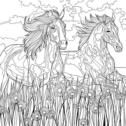 Coloring Page of Two Horses Galloping in a Flowering Field