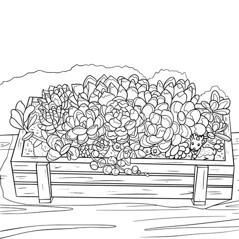 Succulent Plants Coloring Page