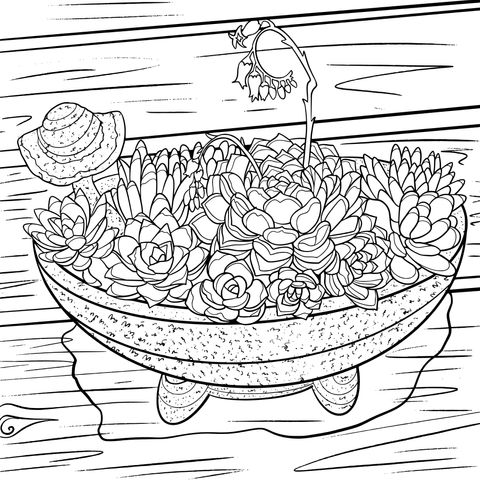 Succulent Plants Coloring Page