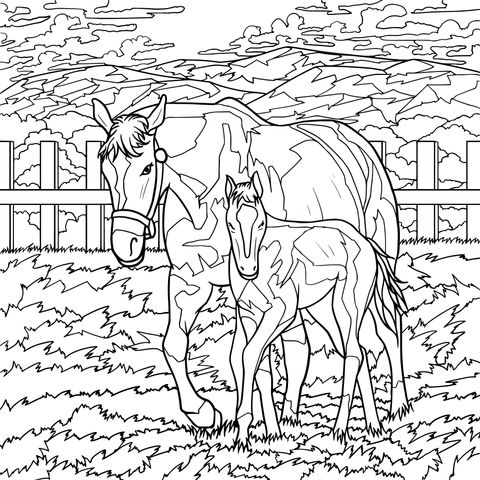 Coloring Page of a Mare and a Foal