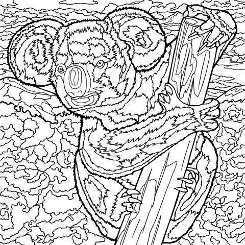 Adorable Koala Hugging a Tree Coloring Page