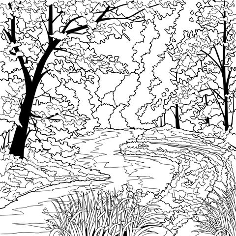 Autumn Streamside Scenery Coloring Page