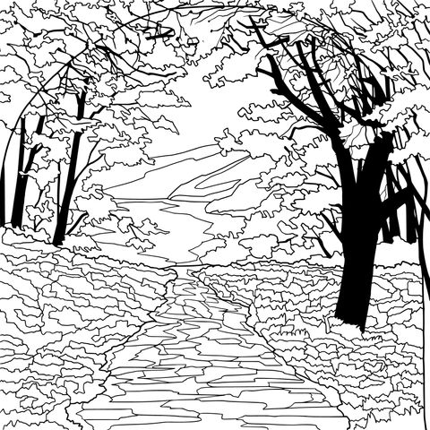 Autumn Forest Path Coloring Page