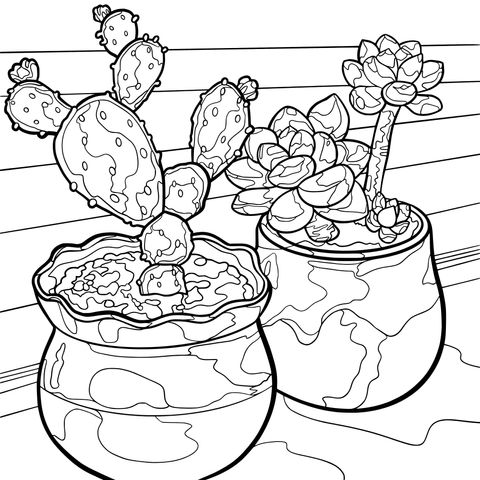 Ilustración de página para colorear de cactus y suculentas