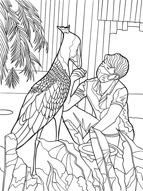 Coloring Page of Human - Marabou Stork Interaction