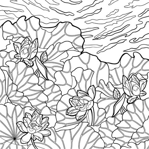 Lotus and Lotus Leaf Coloring Page