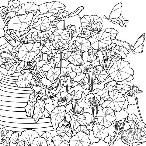 Flowers and Butterflies in a Flower - pot