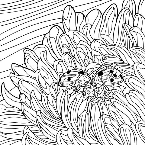 Ladybugs and Flowers Coloring Page