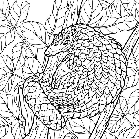 Pangolin - themed Coloring Page