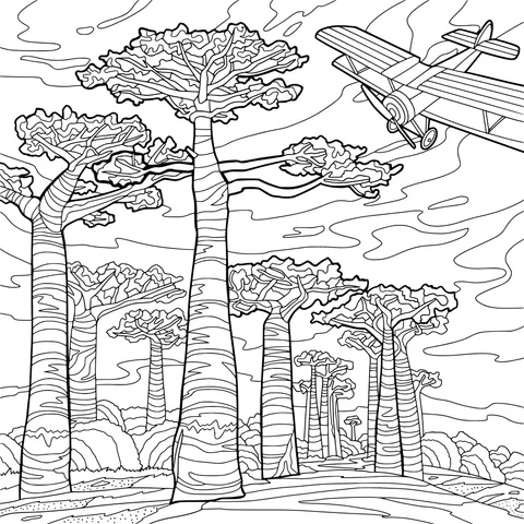Baobab Trees and Airplane