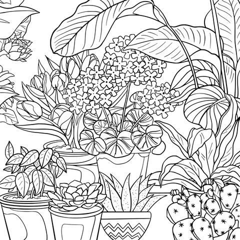 Colorful Potted Plants Coloring Page