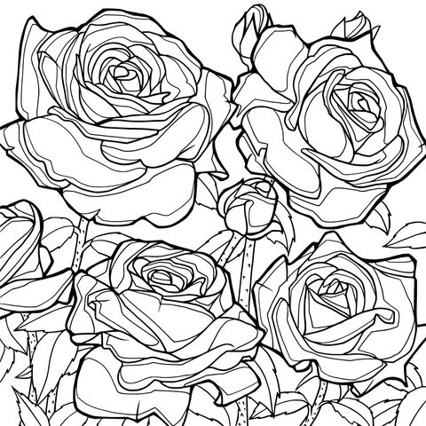 Blue Roses Coloring Page