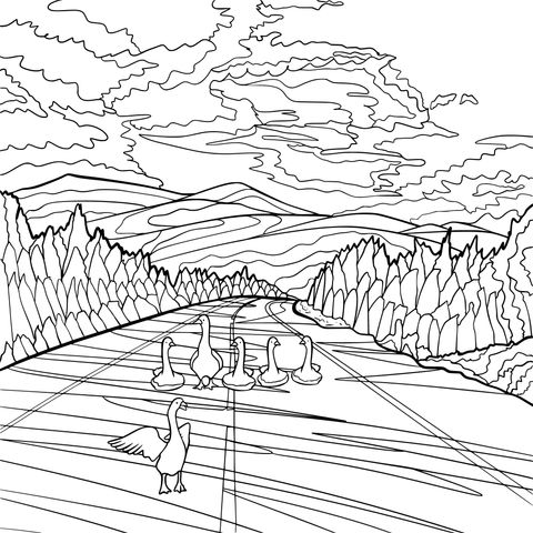 Coloring Page of Geese on the Road