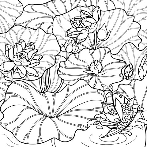 Lotus Pond and Koi Fish Coloring Page