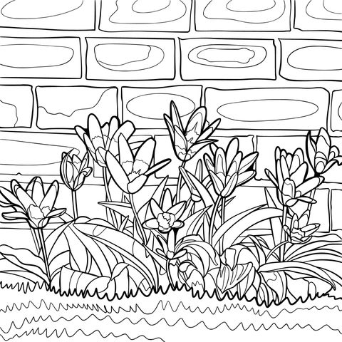 Flower Coloring Page beside a Brick Wall