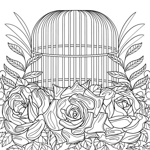 Roses and Birdcage