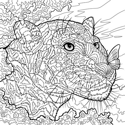 Jaguar and Butterfly Coloring Page