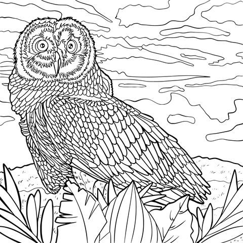 Owl - themed Coloring Page Illustration