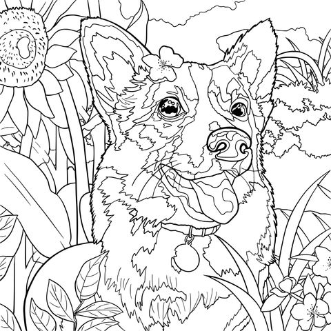 Página de colorir de um adorável cão Corgi e paisagem floral