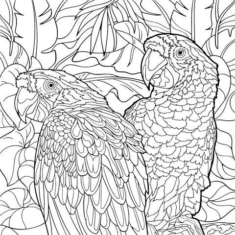 Colorful Parrots Coloring Page