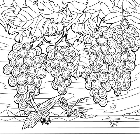 Grape and Dragonfly Coloring Page