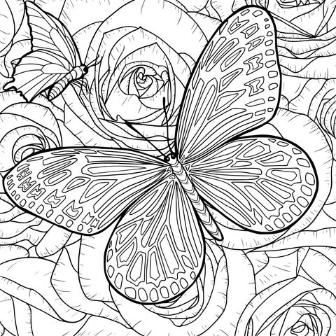 Página de colorear de mariposa y rosas