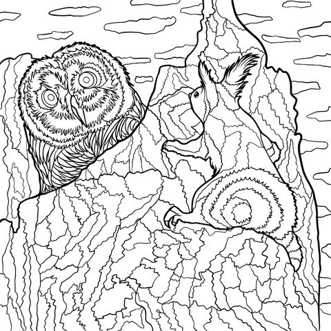 Coloring Page Illustration of an Owl and a Possum