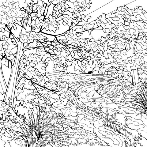 Beautiful Autumn Landscape Coloring Page