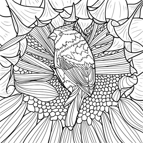 Colorful Bird and Flower Coloring Page