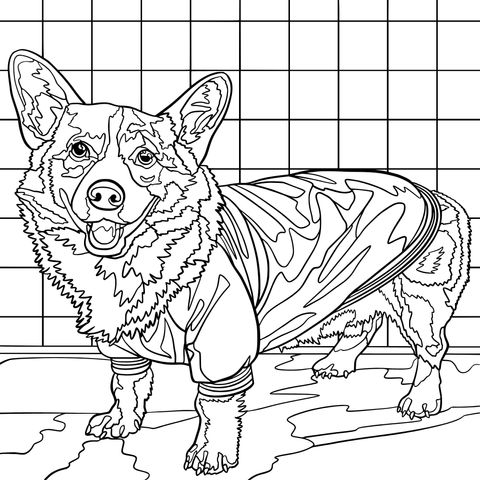 Coloring Page of a Corgi in a Blue Outfit