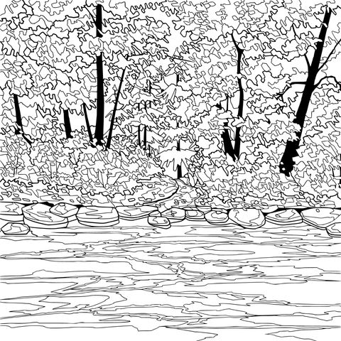 Forest Stream Landscape Coloring Page