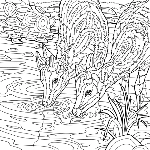 Two deer drinking water by the stream