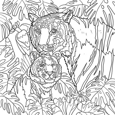 Mother - Cub Tiger Jungle Coloring Page