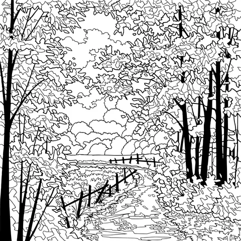 Autumn Path in the Forest
